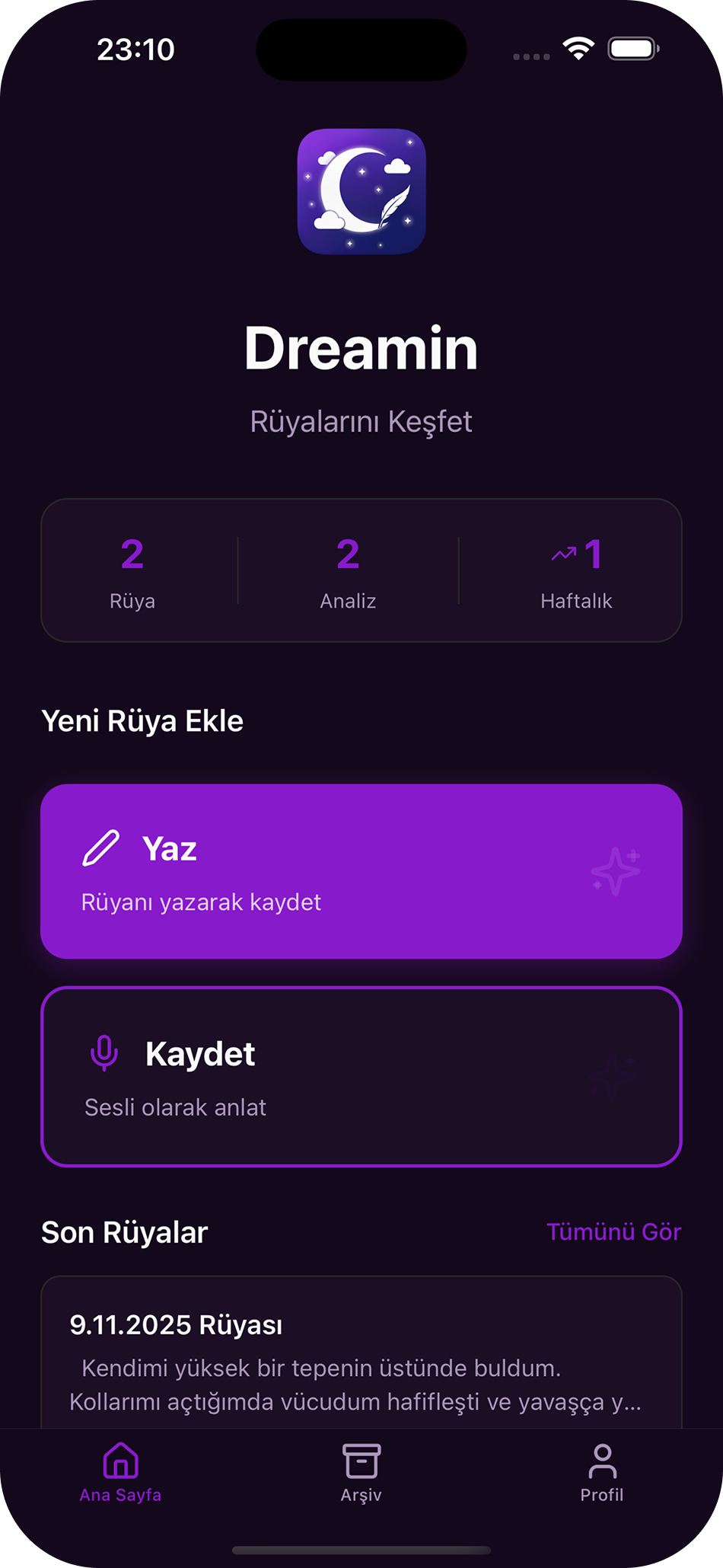 Rüyayı yazma veya sesli kaydetme ekranı